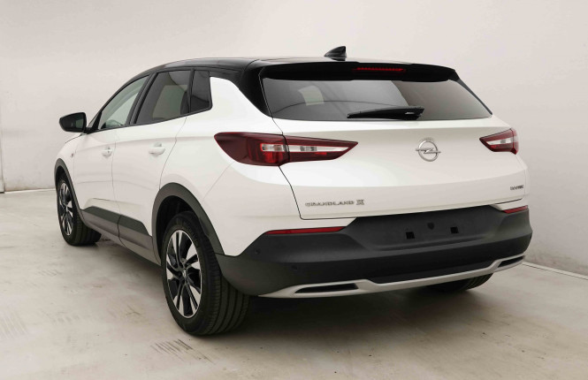 OPEL_OPEL_GRANDLANDX_2654668_28.jpg OPEL_OPEL_GRANDLANDX_2654668_28.jpg