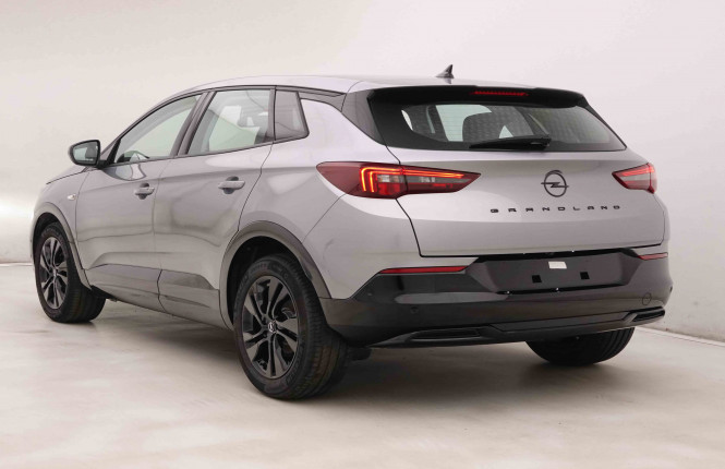 OPEL_OPEL_GRANDLAND_2549363_27.jpg