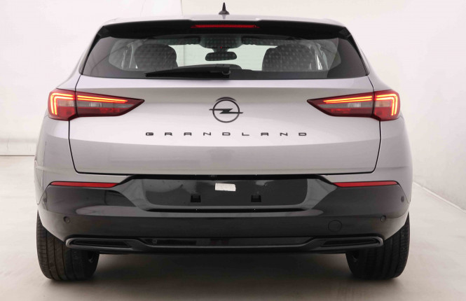 OPEL_OPEL_GRANDLAND_2549364_28.jpg