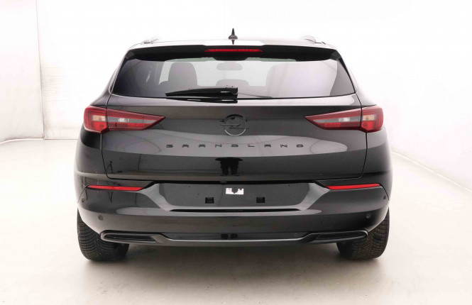 OPEL_OPEL_GRANDLAND_2652118_30.jpg