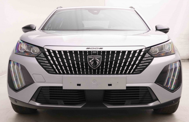 PEUGEOT_PEUGEOT_2008_2548156_27.jpg