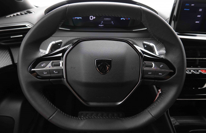 PEUGEOT_PEUGEOT_2008_2548156_8.jpg