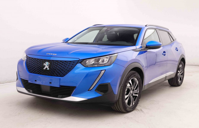 PEUGEOT_PEUGEOT_2008_2548640_22.jpg