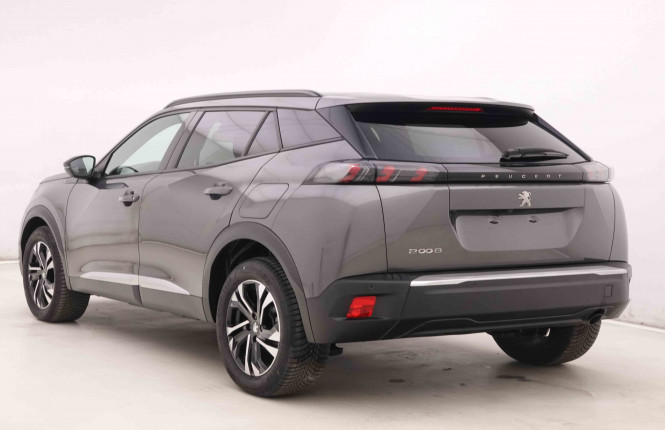 PEUGEOT_PEUGEOT_2008_2551419_22.jpg