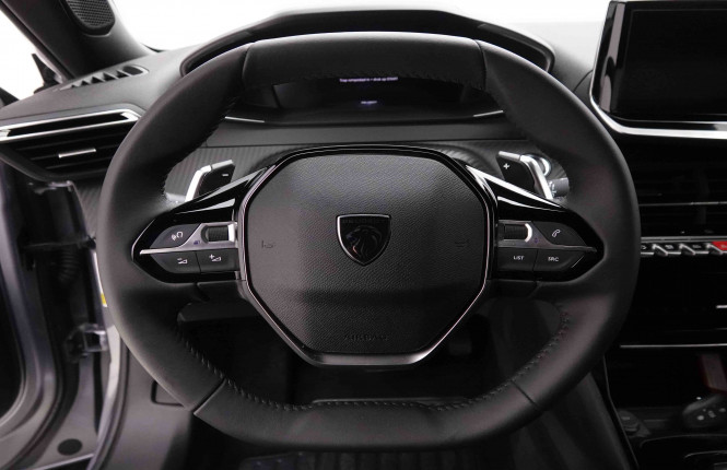 PEUGEOT_PEUGEOT_2008_2652069_8.jpg
