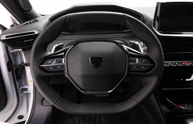 PEUGEOT_PEUGEOT_2008_2652236_38.jpg