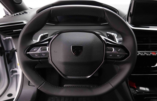 PEUGEOT_PEUGEOT_2008_2652239_62.jpg