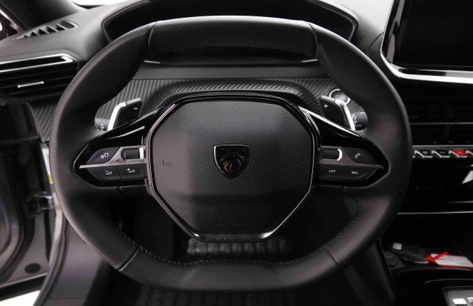 PEUGEOT_PEUGEOT_2008_2652246_89.jpg