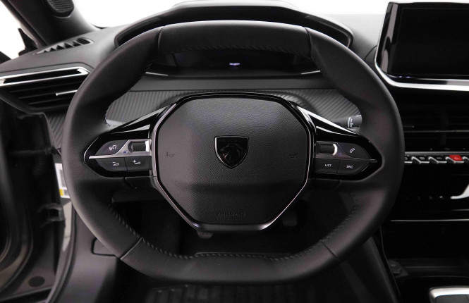 PEUGEOT_PEUGEOT_2008_2653116_31.jpg