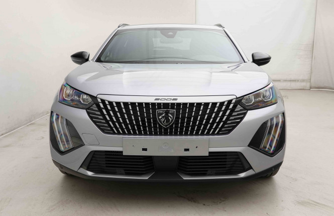 PEUGEOT_PEUGEOT_2008_2653452_25.jpg