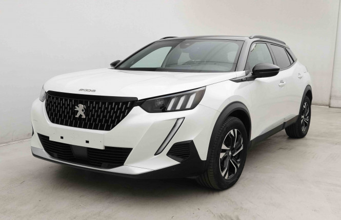 PEUGEOT_PEUGEOT_2008_2653616_26.jpg