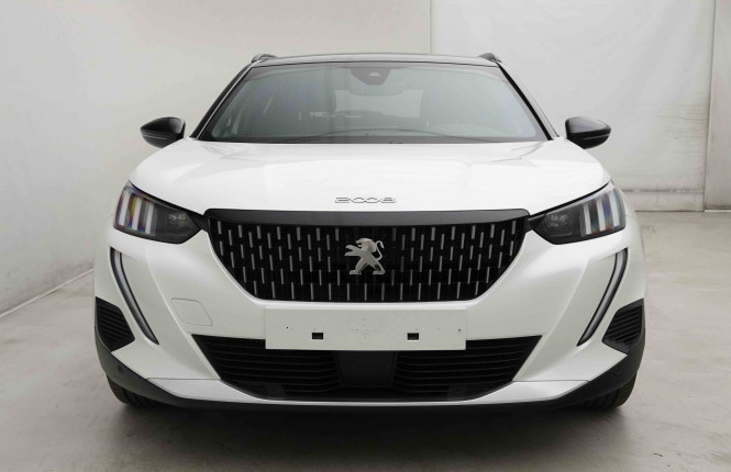 PEUGEOT_PEUGEOT_2008_2653616_27.jpg