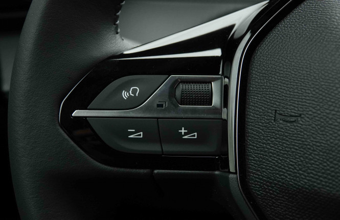 PEUGEOT_PEUGEOT_2008_2654452_19.jpg