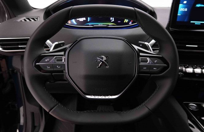 PEUGEOT_PEUGEOT_3008_2549030_8.jpg