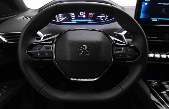 PEUGEOT_PEUGEOT_3008_2550311_9.jpg
