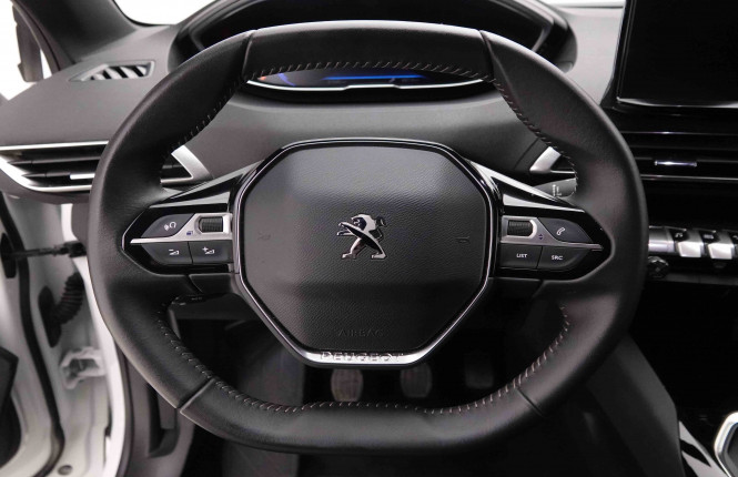PEUGEOT_PEUGEOT_3008_2550326_8.jpg