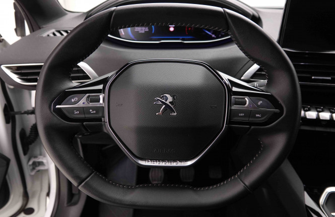 PEUGEOT_PEUGEOT_3008_2550330_8.jpg