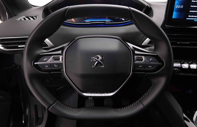 PEUGEOT_PEUGEOT_3008_2550338_8.jpg