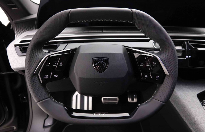 PEUGEOT_PEUGEOT_3008_2652910_9.jpg