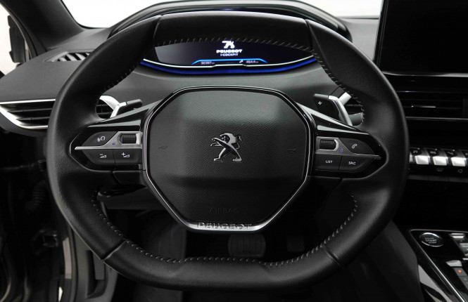 PEUGEOT_PEUGEOT_3008_2653108_8.jpg