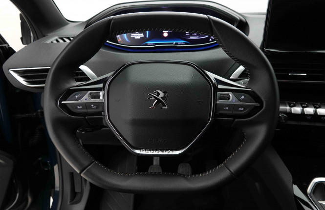 PEUGEOT_PEUGEOT_3008_2653115_8.jpg