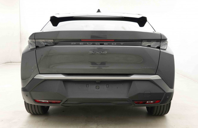 PEUGEOT_PEUGEOT_3008_2653568_24.jpg