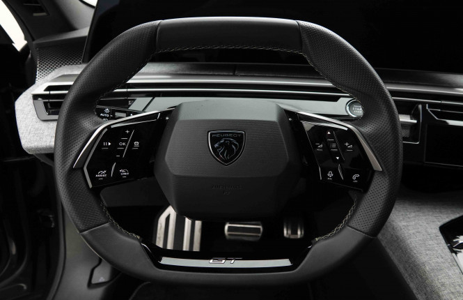 PEUGEOT_PEUGEOT_3008_2653568_5.jpg