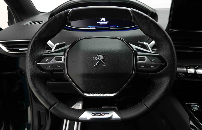 PEUGEOT_PEUGEOT_3008_2654450_8.jpg
