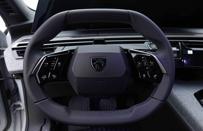 PEUGEOT_PEUGEOT_3008_2655571_8.jpg PEUGEOT_PEUGEOT_3008_2655571_8.jpg