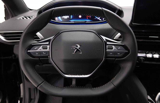 PEUGEOT_PEUGEOT_5008_2551063_10.jpg