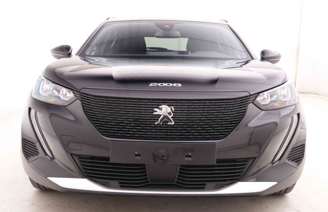PEUGEOT_PEUGEOT_E_2008_2548608_22.jpg