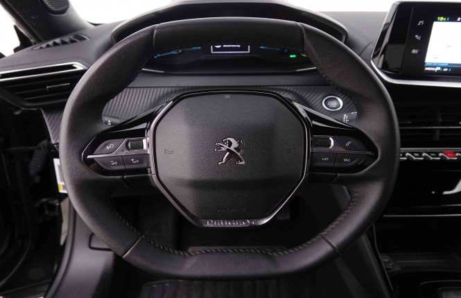PEUGEOT_PEUGEOT_E_2008_2548608_8.jpg