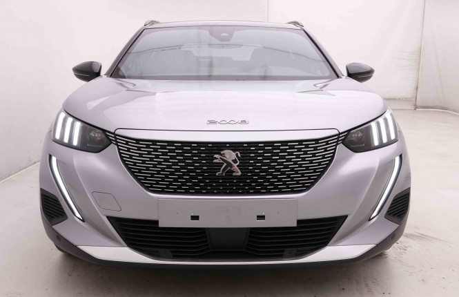 PEUGEOT_PEUGEOT_E_2008_2549027_25.jpg