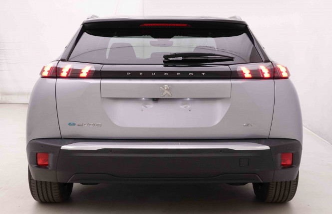 PEUGEOT_PEUGEOT_E_2008_2549027_28.jpg
