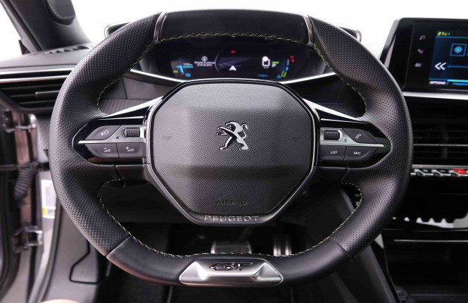 PEUGEOT_PEUGEOT_E_2008_2549027_9.jpg
