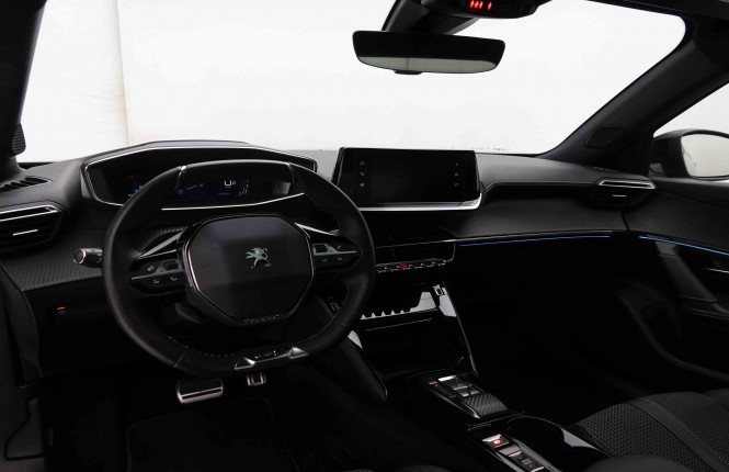 PEUGEOT_PEUGEOT_E_2008_2551548_8.jpg
