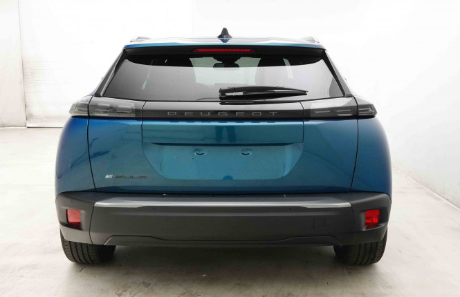 PEUGEOT_PEUGEOT_E_2008_2653334_29.jpg