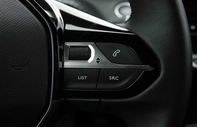 PEUGEOT_PEUGEOT_E_2008_2653336_19.jpg