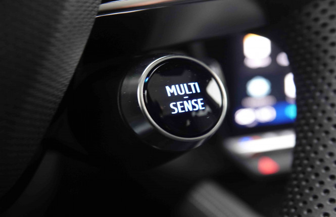RENAULT_RENAULT_ESPACE_2550597_26.jpg