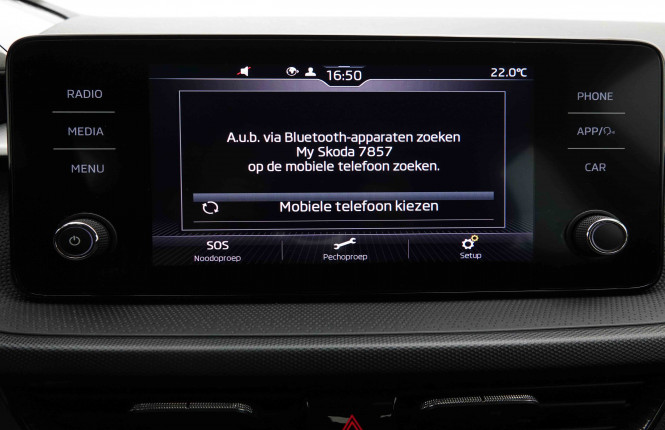 SKODA_SKODA_FABIA_2654490_11.jpg