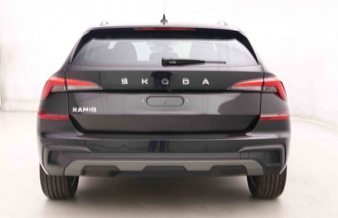 SKODA_SKODA_KAMIQ_2550746_27.jpg SKODA_SKODA_KAMIQ_2550746_27.jpg