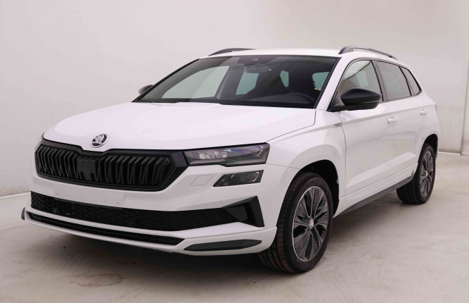 SKODA_SKODA_KAROQ_2446606_25.jpg