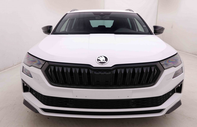 SKODA_SKODA_KAROQ_2446606_26.jpg