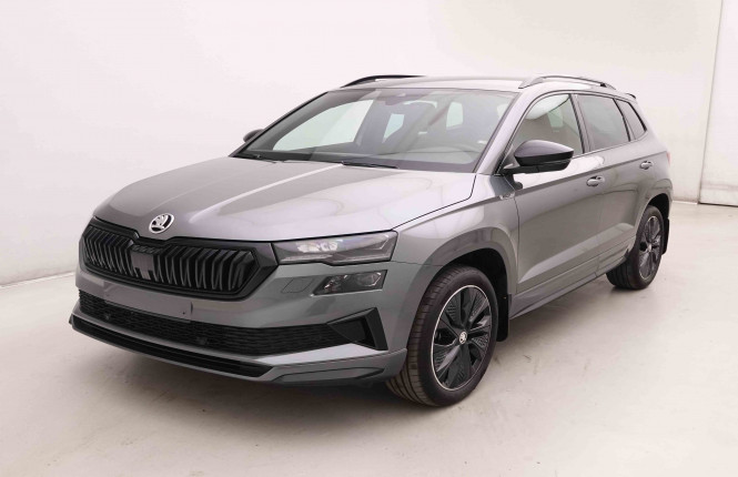 SKODA_SKODA_KAROQ_2551659_25.jpg SKODA_SKODA_KAROQ_2551659_25.jpg