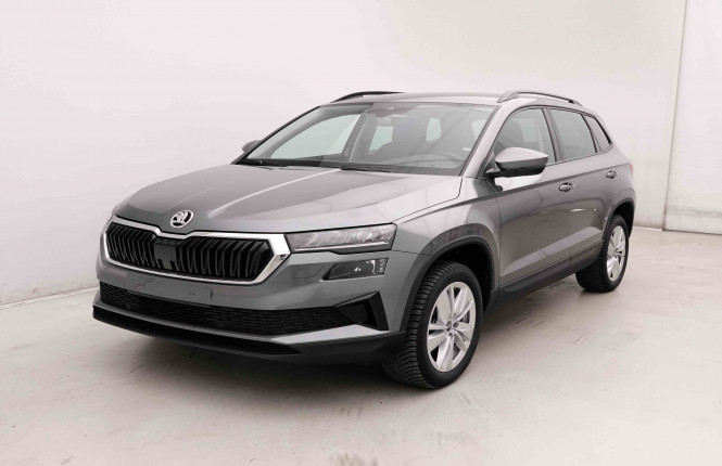 SKODA_SKODA_KAROQ_2653074_25.jpg