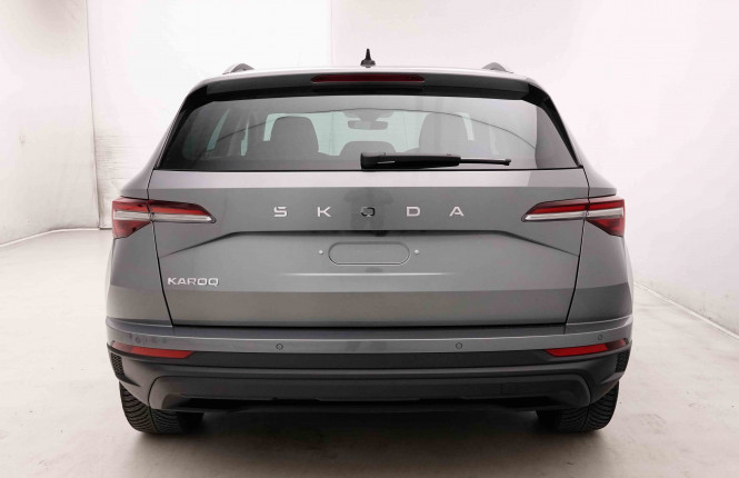 SKODA_SKODA_KAROQ_2653074_29.jpg