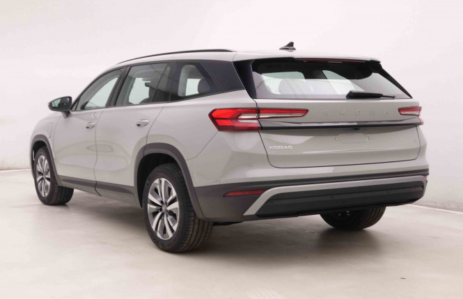 SKODA_SKODA_KODIAQ_2551712_28.jpg