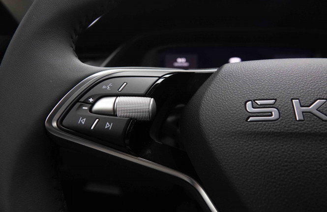 SKODA_SKODA_OCTAVIA_2550112_19.jpg