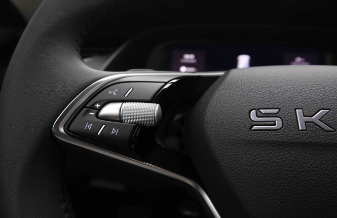 SKODA_SKODA_OCTAVIA_2550114_19.jpg