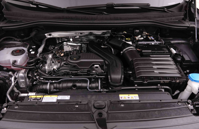 VOLKSWAGEN_VOLKSWAGEN_TIGUAN_2652424_57.jpg